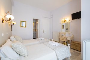 Double / Twin bed economy