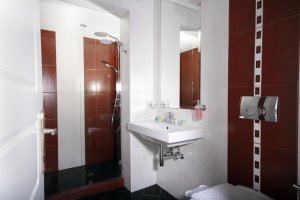 Double Bed or Twin Beds Room
