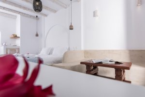 ECONOMY DOUBLE ROOM: Double bed or two twins beds, with verandas or balconies in first floor with pool and sea view.