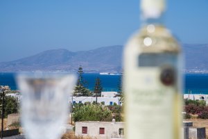 DELUXE DOUBLE ROOM: Double bed or two twins beds, with balconies in second floor with pool and sea view.