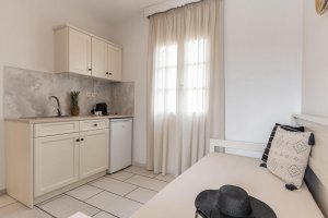 Double Studio with Garden View