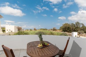 Double Studio with Garden View