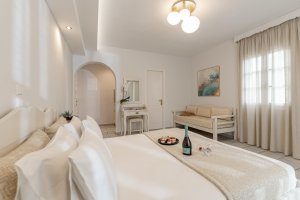 Double Bed Room with Garden View 