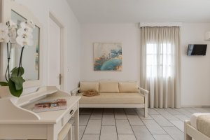 Double Bed Room with Garden View 