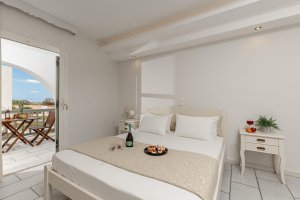 Double Bed Room with Garden View 