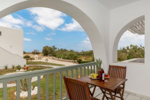 Double Bed Room with Garden View 
