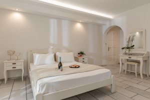 Double Bed Room with Garden View 
