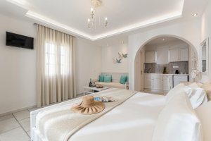 Standard Studio for 2 Adults and 1 Chlid