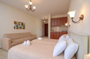 Double / Twin bed studio