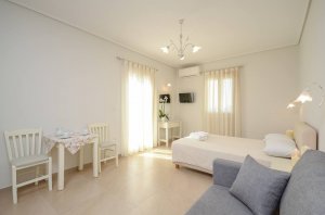 Double / Twin bed studio