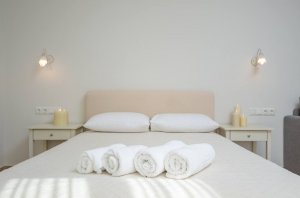 Double / Twin bed studio