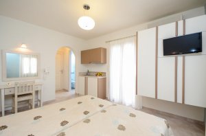 Double / Twin Bed Studio