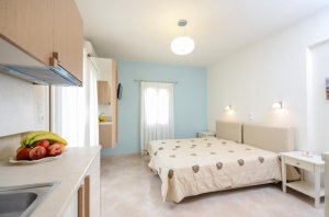 Double / Twin Bed Studio