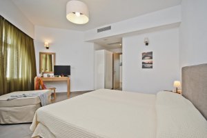 Double or Twin Room with Sofa Bed