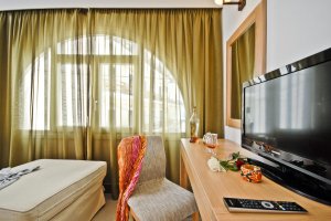Double or Twin Room with Sofa Bed