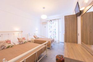 Double / Twin bed studio