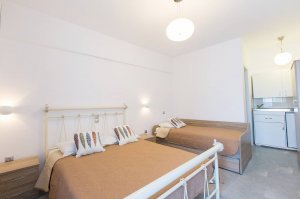 Double / Twin bed studio