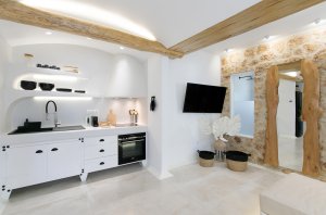 Luxury Apartment