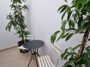 Double Room with Patio