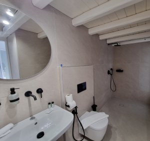 Double Room with Patio