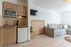 Quadruple Semibasement Studio