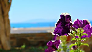 Double Studio with Sea View