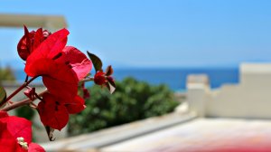 Triple Studio with Sea View