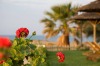 Plaza Beach Hotel 
